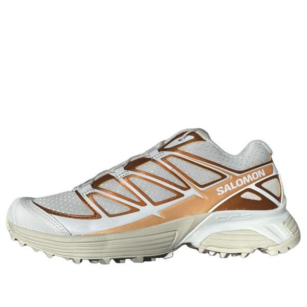 SALOMON XT-PATHWAY METALLIC KADIN AYAKKABI 474389 - Image 1