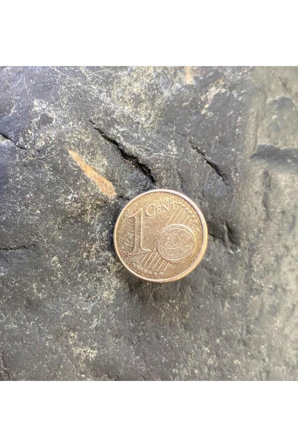 Sanat Taciri Koleksiyoluk Bronz Renk 1 Cent Rozet Yaka Broşu - Image 1