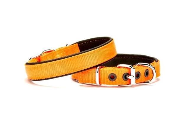 Yumuşak Doku Köpek Boyun Tasması 1,5/35 cm Turuncu - Image 1