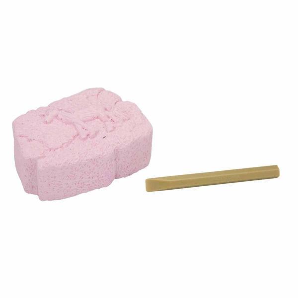 Karanlıkta Parlayan Unicorn Fosil Kazı Seti Kız Erkek Çocuk Oyuncak Eğitici Oyuncaklar - Image 1