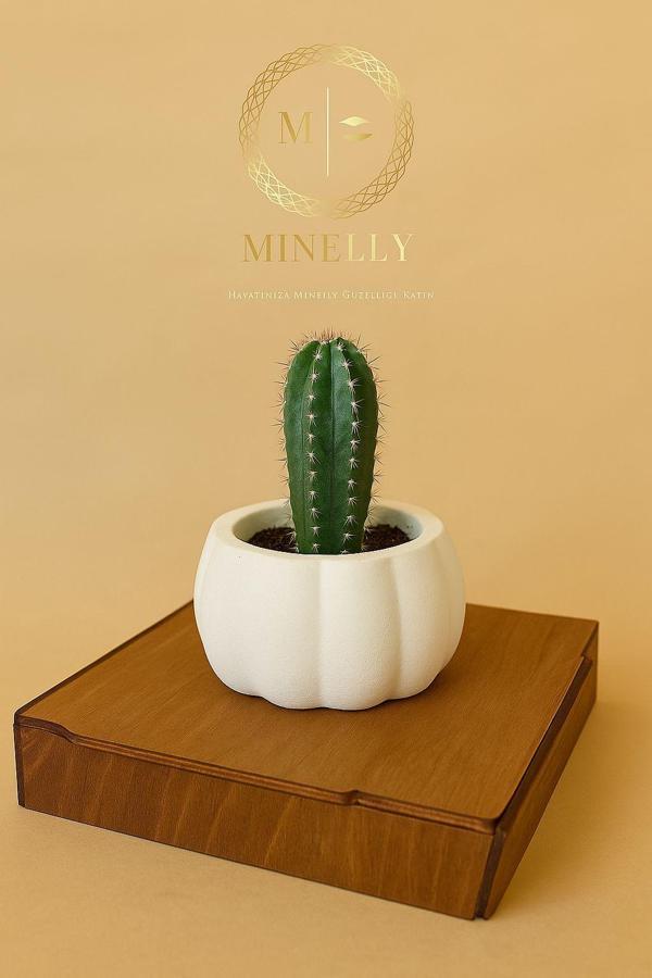 Minelly Pumpkin Touch Saksı - Image 1