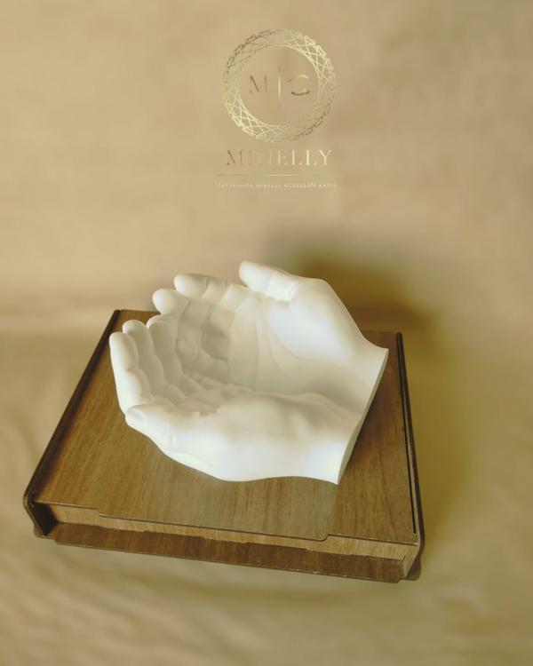 Minelly Şevkatli Eller - Image 1