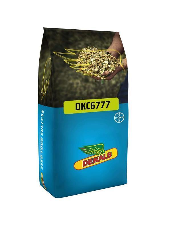 Dekalb Dkc 6777 Slaj Mısır Tohumu(50.000 Adet) - Image 1