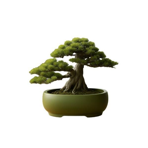 Verdant Saksı – Modern Tasarım - Image 1