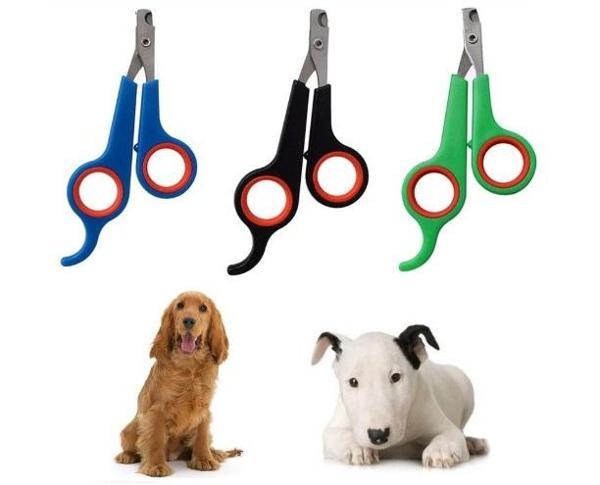 Nessiworld Kedi Köpek Tırnak Makası Renkli Poşetli - Image 1