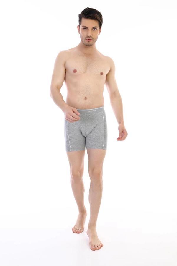 Çift Kaplan 855 Uzun Erkek Boxer - Image 1