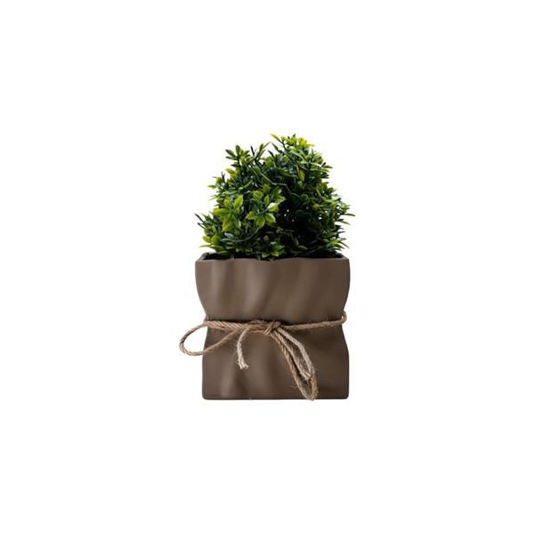 SylvaCraft — Saksı - Image 1