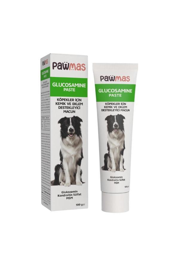 Glukozamin köpek macunu 100gr - Image 1