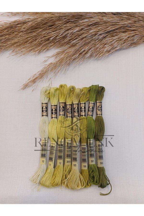 Muline Açık Yeşil Renkler 8 Renk - Image 1