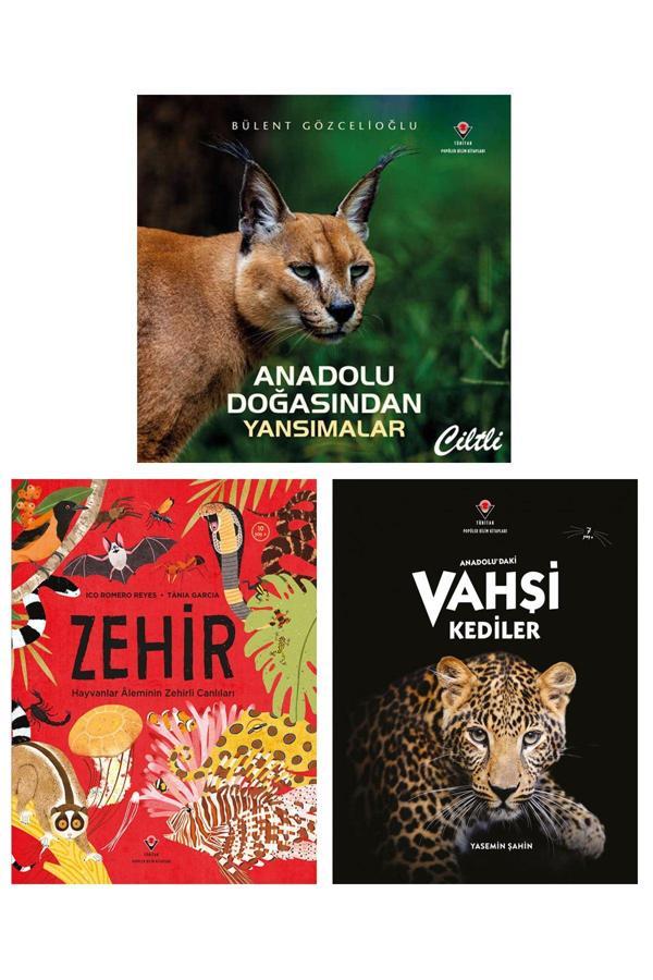 Anadolu Doğasından Yansımalar Zehir Hayvanlar Aleminin Zehirli Canlıları Anadolu'Daki Vahşi Kediler - Tübitak Yayınları - Image 1