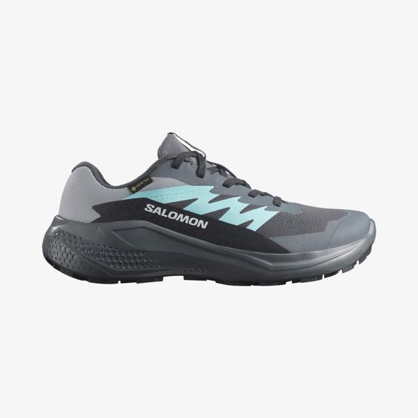 Salomon Alphaglıde Gtx W 478025  - Image 1