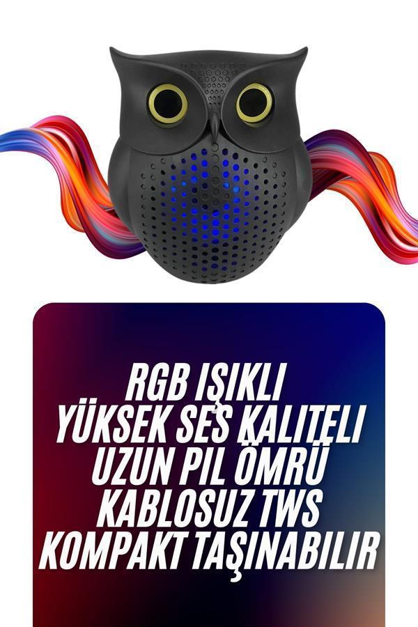 Baykuş Tasarımlı Mini Bluetooth Speaker Yüksek Ses Kaliteli Taşınabilir - Image 1