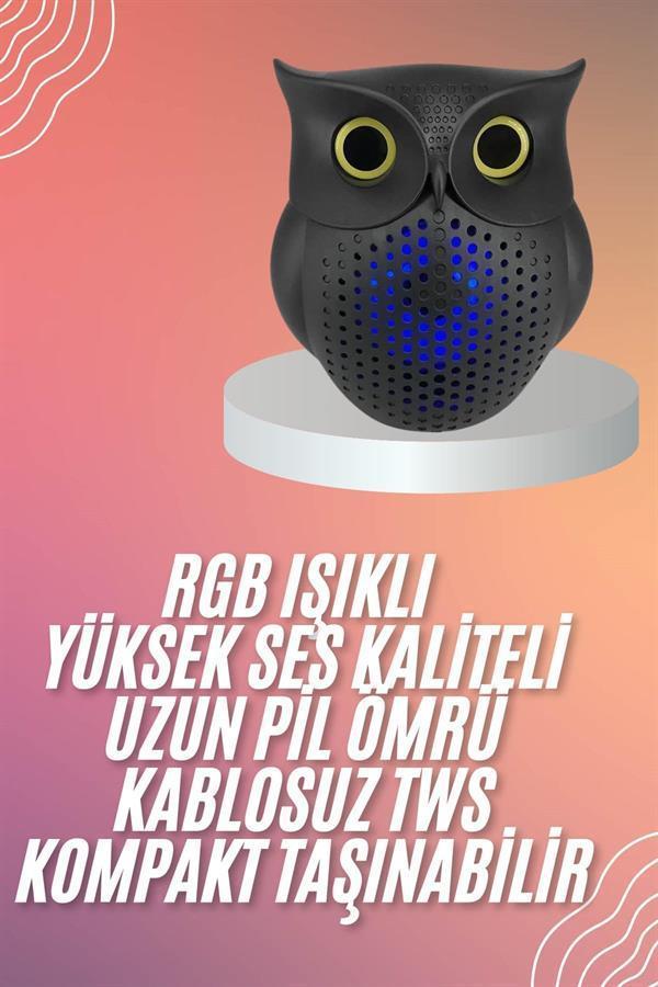 Müzik Çalar Bluetooth Hoparlör Speaker 5.0 Kablosuz Baykuş Görünümlü - Image 1