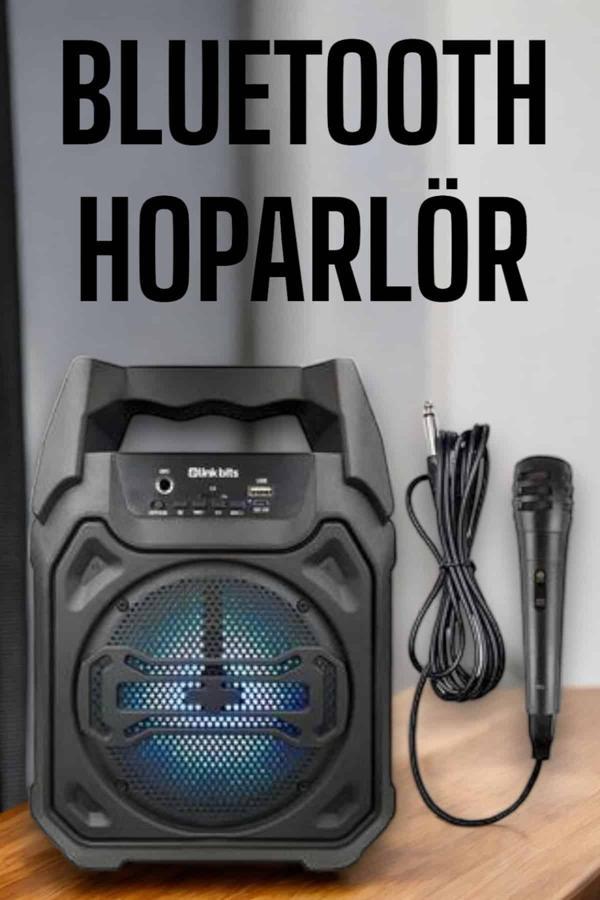 Güçlü ve Şarj Edilebilir Bluetooth Hoparlör 6.5 İnç - Image 1