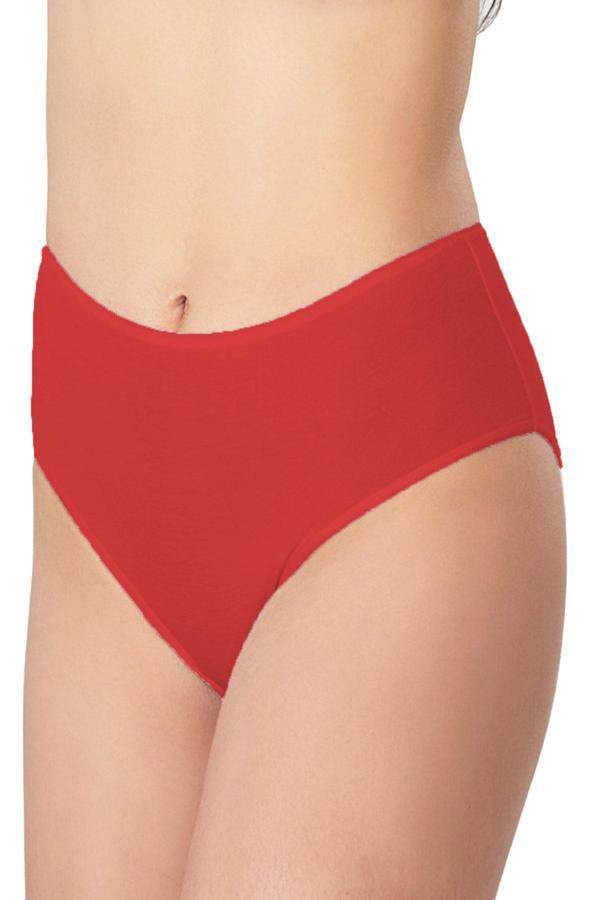 Kadın Büyük Beden Bikini Yüksek Bel Pamuklu Külot Ekonomik - Image 1