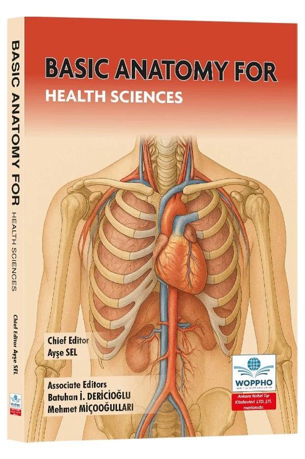 Basic Anatomy for Health Sciences - Ankara Nobel Tıp - Image 1