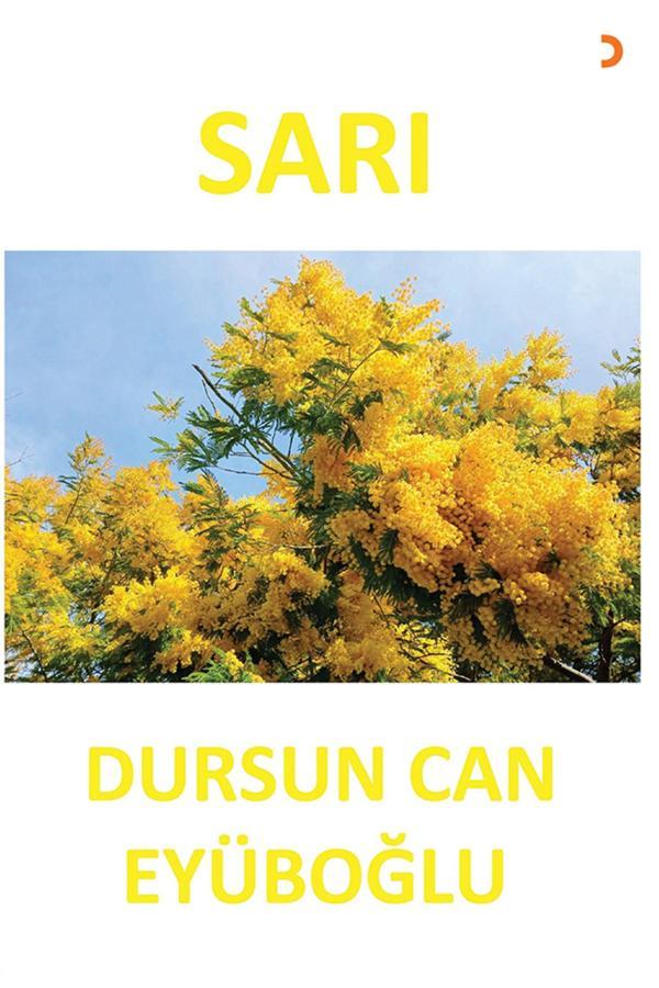 SARI & Dursun Can Eyüboğlu - Cinius Yayınevi - Image 1