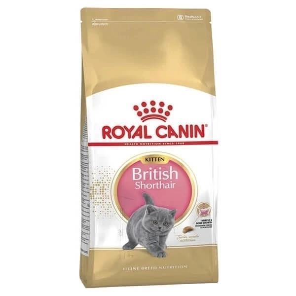 Royal Canin British Shorthair Kitten Yavru Kedi Maması 2 Kg - Image 1
