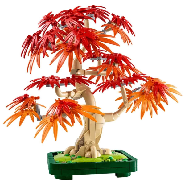 Botanicals Japon Kırmızı Akçaağaç Bonsai Ağacı 10348 - Image 1