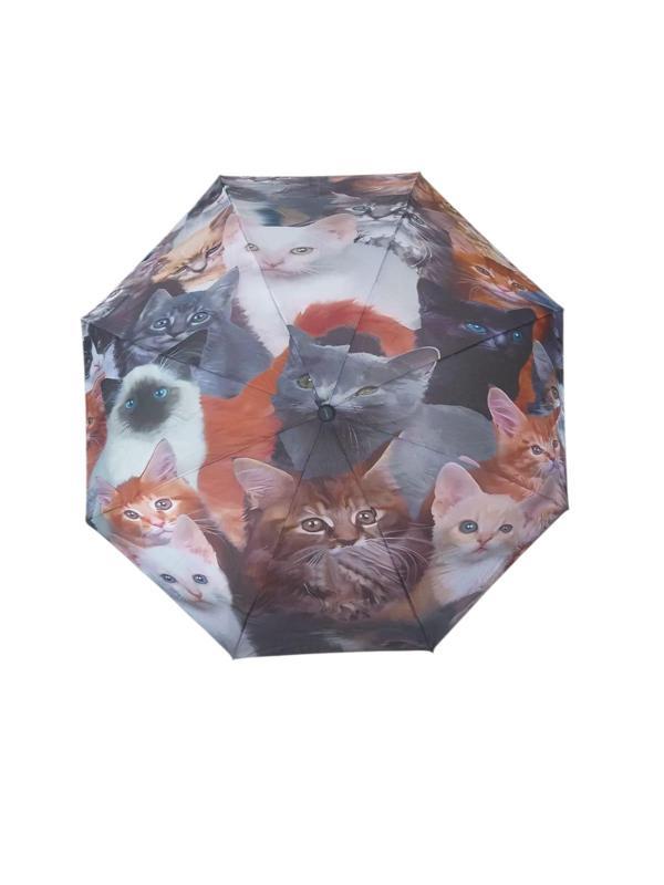 Sevimli Kedi Yavruları Desenli Rüzgara Dayanıklı Manuel Bayan Şemsiyesi - Image 1