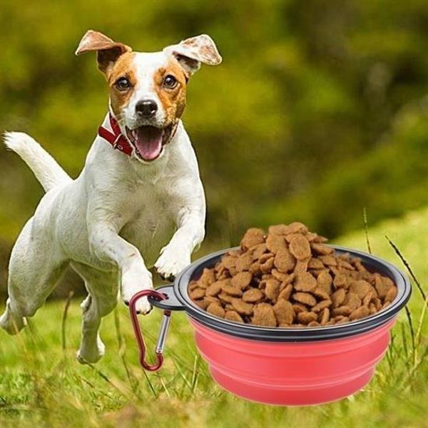 BUFFER® Katlanabilir Kedi Köpek Mama ve Su Kabı Köpek Oyuncağı - Image 1