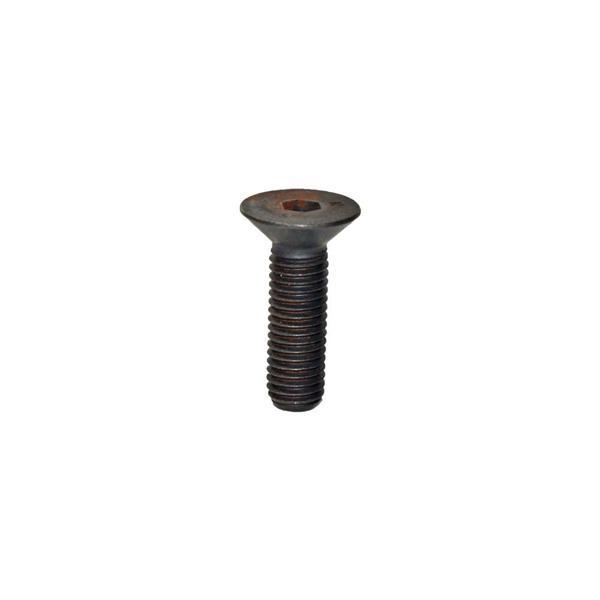 Havşa Başlı İmbus Civata M10X35 BEYAZ 25 Adet - Image 1