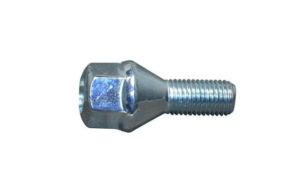 Bijon Saplaması Renault Megane M12/1,5X50mm 2 Adet - Image 1