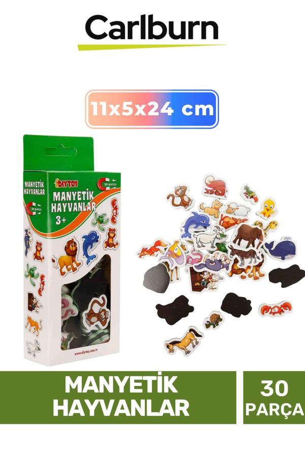 Özel Üretim Eğitici Zeka Geliştirici Öğretici El Göz Koordinasyonu Manyetik Hayvanlar - 30 Parça - Image 1