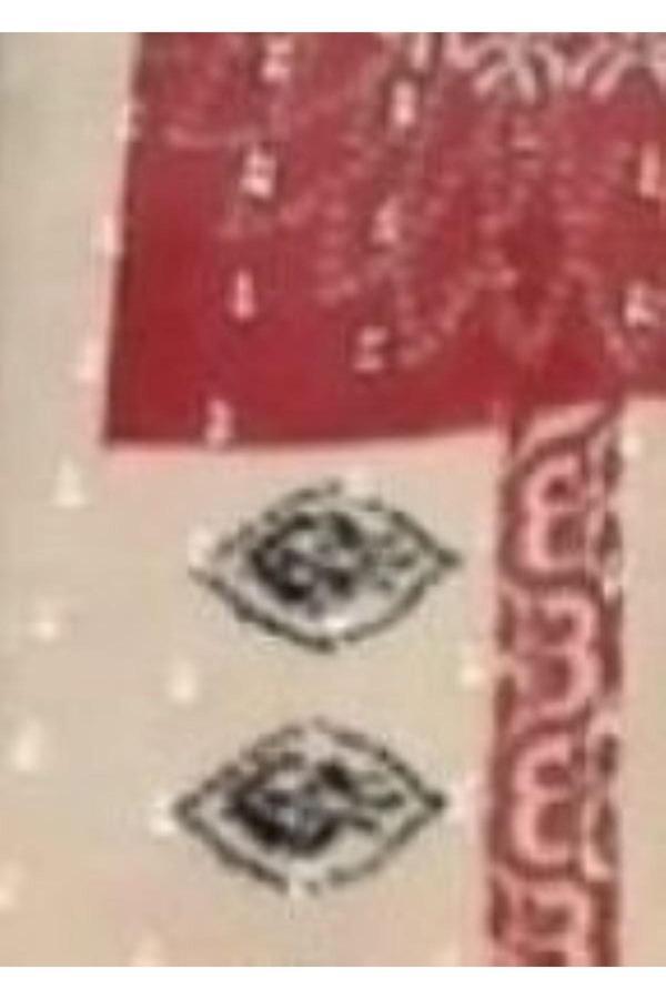 Akkanat Butik Kadın Desenli Şal - Image 1