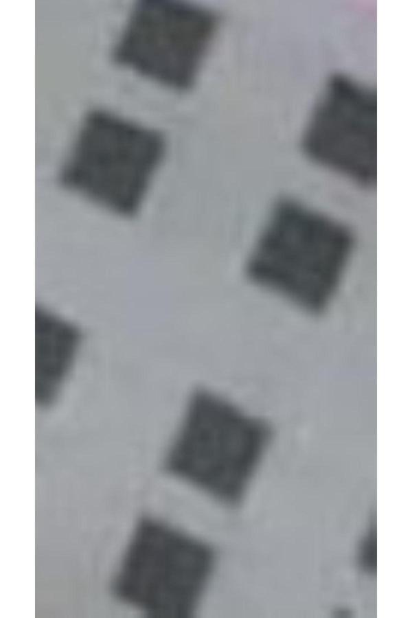 Akkanat Butik Kadın Desenli Şal - Image 1