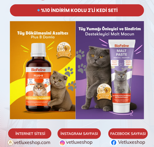 2'Li Kedi Tüy Seti - Image 1