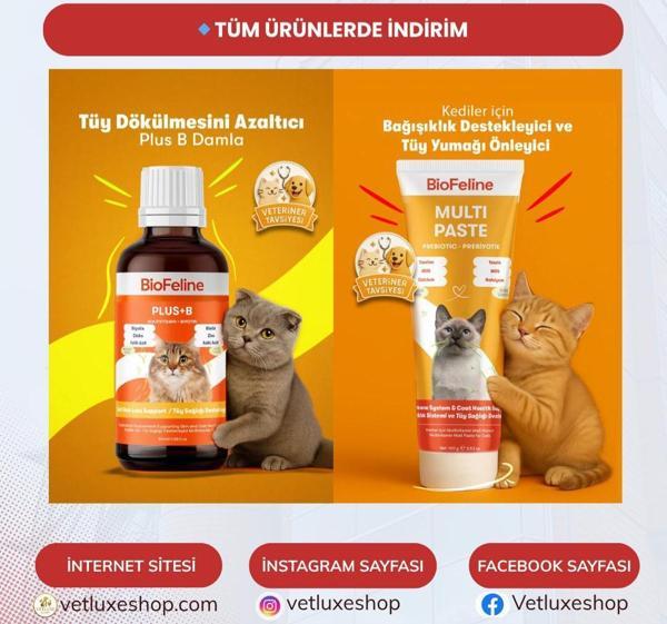 Kediler İçin Multivitamin Macun + Vitamin Damla Seti | Tüy Dökülmesi ve Bağışıklık Desteği - Image 1