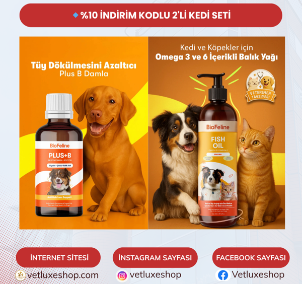 Köpekler İçin Balık Yağı + Plus B Vitamin Damla | Tüy Dökülmesi ve Deri Bakımı Seti - Image 1