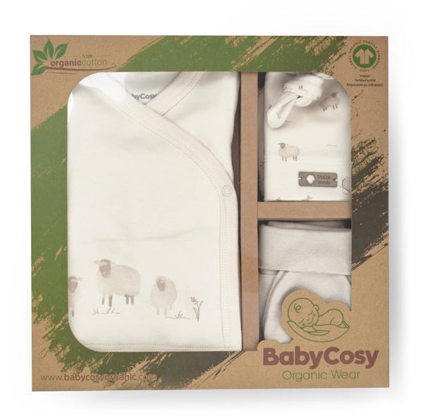 Bebek 5'li Set %100 Organic Pamuk Yenidoğan Serisi - CSY8189 - Image 1