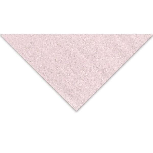 Supertrend Tiziano Çok Amaçlı Fon Kartonu 160 gr. 50x65 cm 5'li Paket GÜL - ROSA - Image 1