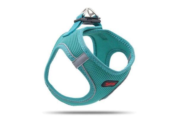 Tailpetz Air Mesh Köpek Göğüs Tasması XSmall 32x36 cm Emerald - Image 1