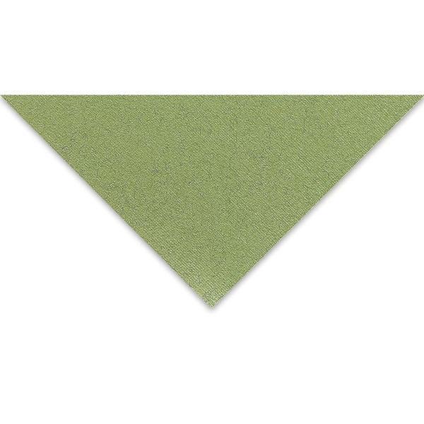 Supertrend Tiziano Çok Amaçlı Fon Kartonu 160 gr. 50x65 cm 5'li Paket YOSUN - MUSCHIO - Image 1