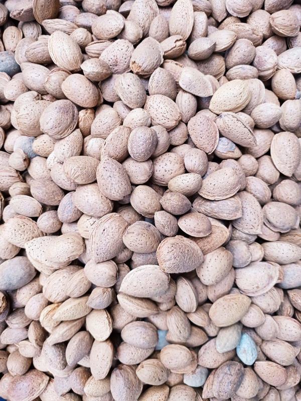 Little Sister's Farm Niğde Ulukışla Çiftliğimizden Ince Orta Sert Kabuklu El Bademi 1 Kg - Image 1