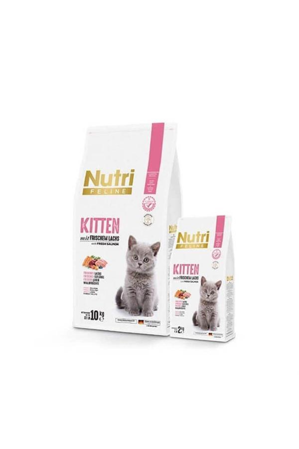 Kıtten 10 Kg - Image 1