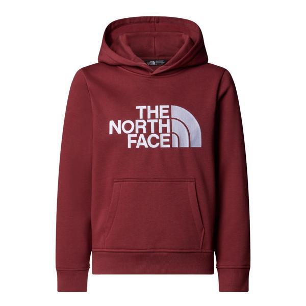 The North Face TEEN DREW PEAK PULLOVER HOODIE Genç Çocuk Sweatshirt NF0A8EHH0VO1 - Image 1