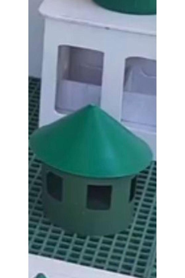 Coşar Tavukçuluk Güvercin Mineral Kabı Yeşil Renk - Image 1