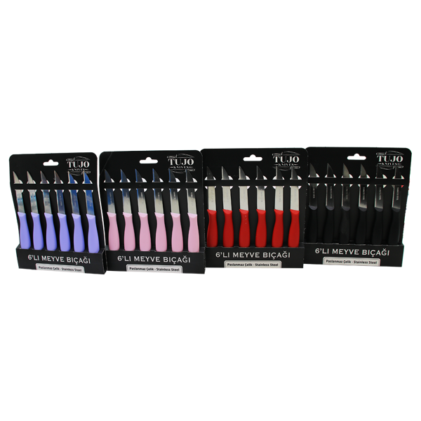 6 PARÇA  MEYVE BIÇAK RENKLİ PLASTİK SAPLI (5250) - Image 1