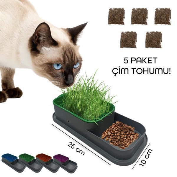 Topraksız Kedi Çimi Kabı  - Image 1