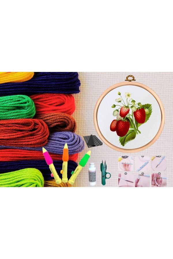 Punch Seti Nakış Seti Kasnaklı Kendin Yap Seti Seri 8 - Image 1