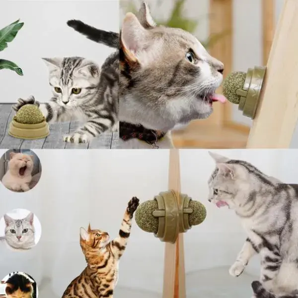 Kedi Nanesi Oyun Topu - Image 1