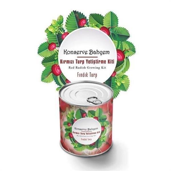 BUFFER® Konserve Bahçem Evde Konservede Fındık Turp Yetiştirme Kiti - Image 1