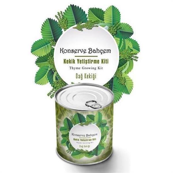 BUFFER® Konserve Bahçem Evde Konservede Kekik Dağ Kekiği Yetiştirme Kiti - Image 1