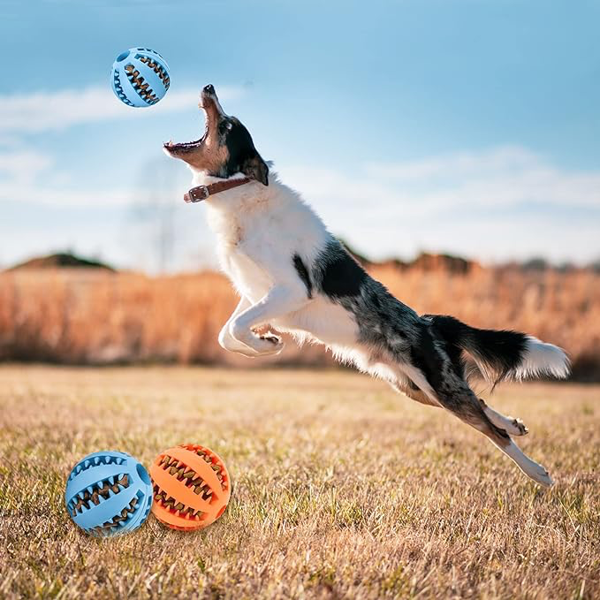 Mama Hazneli Köpek Eğitim Ve Oyun Topu - Image 1