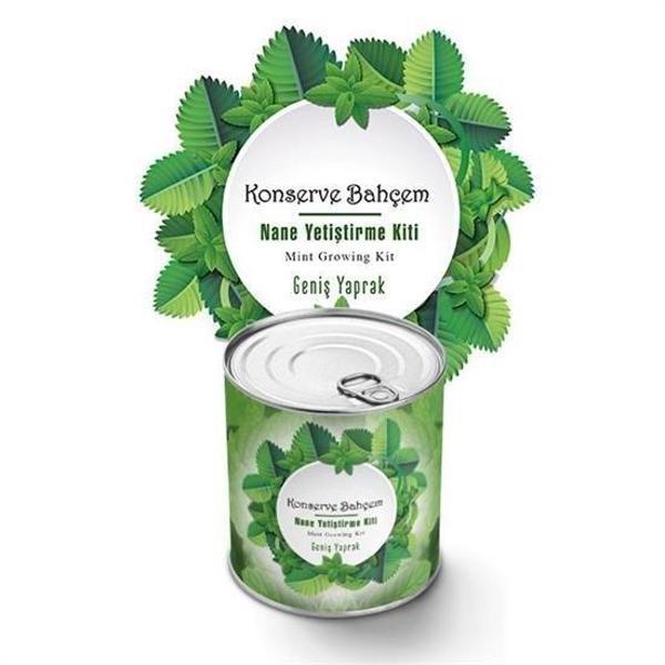 BUFFER® Konserve Bahçem Nane Yetiştirme Kiti - Image 1