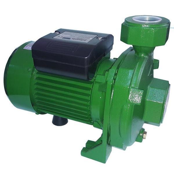 Atlantis Blu DMLA 30-1.5M 2 HP Tek Kademeli Basınçlı Santrifuj Bahçe Pompası 220V - Image 1